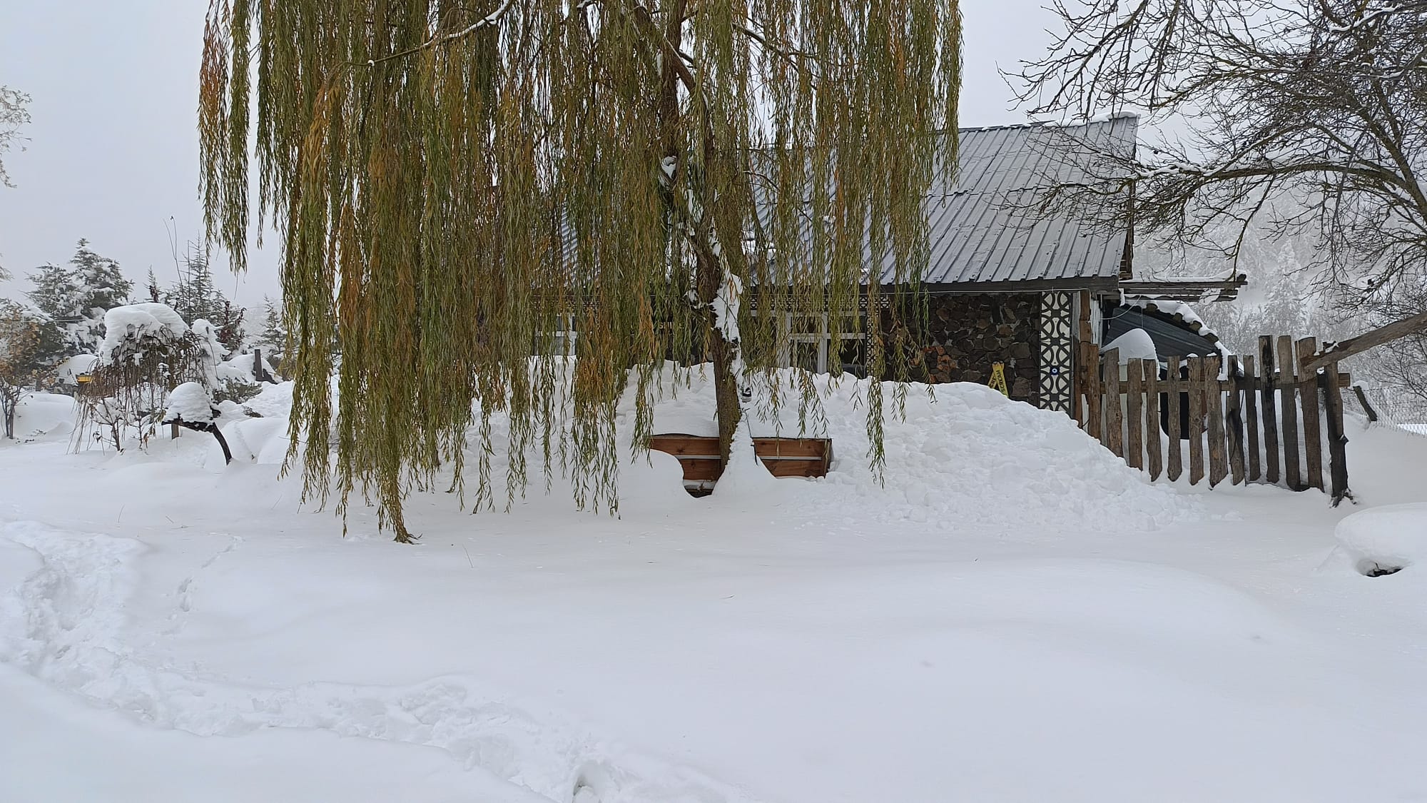 Aronya Natural Bungalov